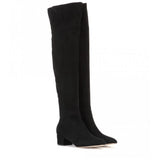 Savannah | Stijlvolle Suede Hoge Laarzen